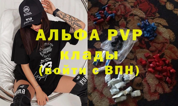 стафф Алексин