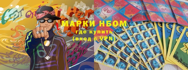 шишки Пестово