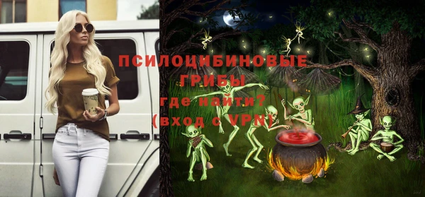 прущие грибы Арсеньев