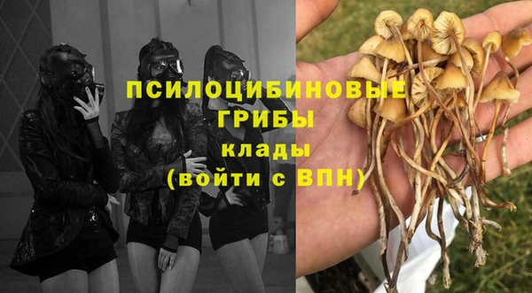 стафф Алексин