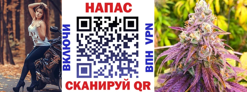 Бошки марихуана MAZAR  Чёрмоз 